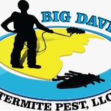 Big Dave's Termite & Pest Control LLC - Pest Control in Fresno