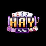 Haywin1casino - Business Financial Consultants in Ho Chi Minh City