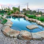 Dorian Pools & Construction - photo 3