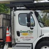 General Tree Service - Tree Services in Bakersfield