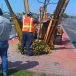 General Tree Service - photo 1