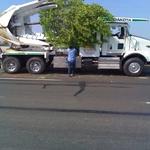 General Tree Service - photo 2