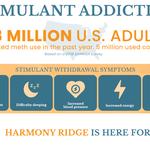 Harmony Ridge Recovery Center - photo 3