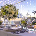 Showbiz Restrooms - photo 5