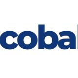 Cobalt Property Buyers Agents - Property Management in Kangaroo Point