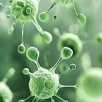 Rehealth Regenerative Therapies - photo 2