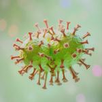 Rehealth Regenerative Therapies - photo 3