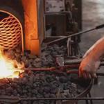 Charleston Adventure Forest - photo 4