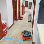 Disaster Master - photo 5