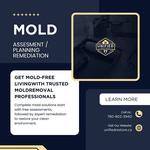 Unified Restore - photo 1