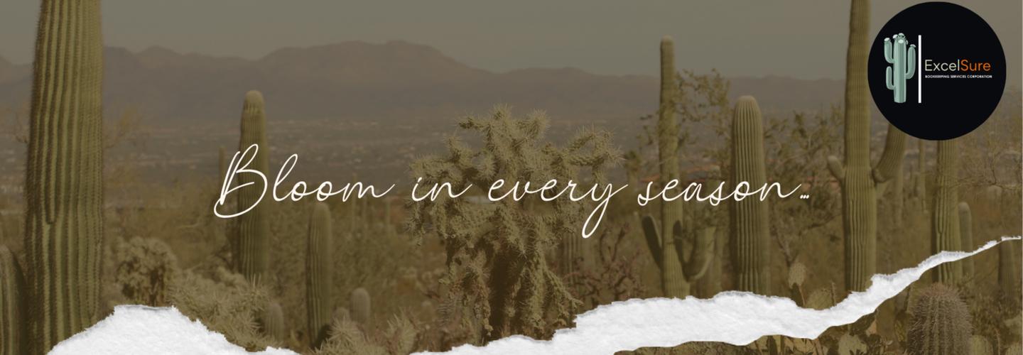 Excelsure Bookkeeping Services Corporation cover photo