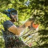 Napa Tree Service Experts - Tree Services in Napa