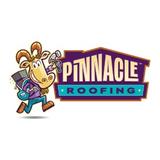 Pinnacle Roofing - Roofing in DeBary