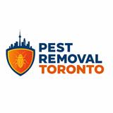 Pest Removal Toronto - Pest Control in York
