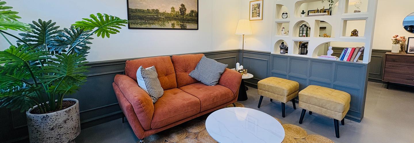 The Homestagers cover photo