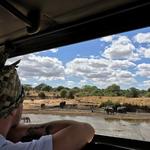Bestday Safaris - photo 5