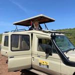 Bestday Safaris - photo 6