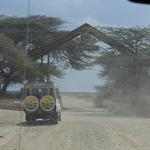 Bestday Safaris - photo 7