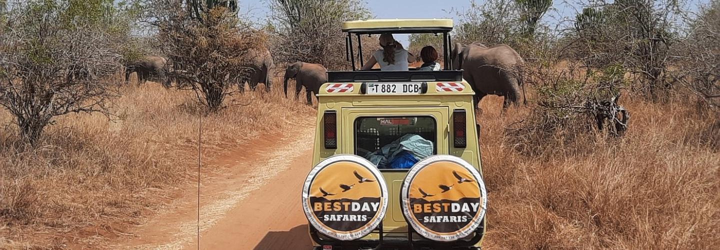 Bestday Safaris cover photo