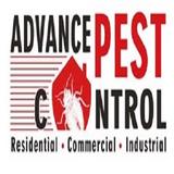Advance Pest Control Surrey/Langley - Pest Control in Surrey