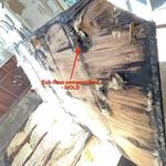 Restokleen Restoration - photo 5