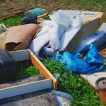 J&Z House Clearance Bridgend - photo 4