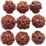 Astro Kapoor - photo 9