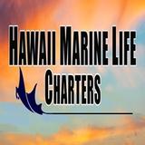 Manta Ray Night Snorkel Kona - Professional Services in Kailua-Kona