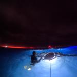 Manta Ray Night Snorkel Kona - photo 1