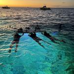 Manta Ray Night Snorkel Kona - photo 2