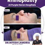 Purple Heron Hospital - photo 2