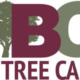 BG Tree Care - Tree Services in Spring City