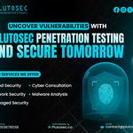 PlutoSec - Cybersecurity Company  - photo 1