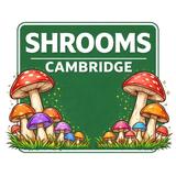 Shrooms Cambridge - Herbal Shops in Cambridge