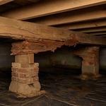 Glover Environmental | Mold Removal & Remediation Apex NC - photo 3