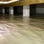 Glover Environmental | Mold Removal & Remediation Apex NC - photo 10