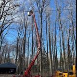 Woodpeckers Tree Services - Tree Services in Boston