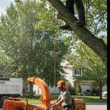 Dietz Tree Services - Tree Services in New Paltz