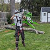 Arbor Heights Tree & Landscp - Tree Services in Poughkeepsie