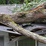 Roof Geeks - photo 6