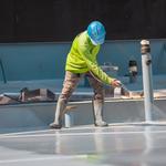 Roof Geeks - photo 8