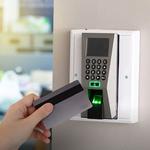 NoLimiTech - photo 10