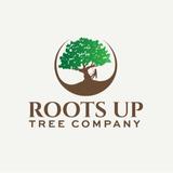 Roots Up Tree Company - Tree Services in Lafayette