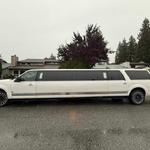 Titan Limousines - photo 2