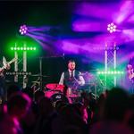 Missing Cat Trio - photo 2