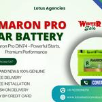 Lotus Agencies - photo 7