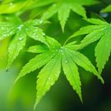 Bright Edge Solutions