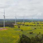 Danny Wall Creative - photo 1