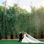 Bella Grey Photography & Studio - photo 1