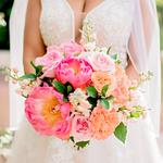 Bella Grey Photography & Studio - photo 2